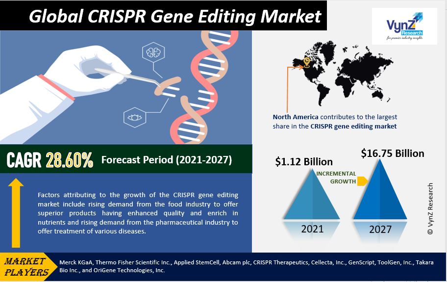 Crispr Gene Editing Market To Hit Usd Billion In