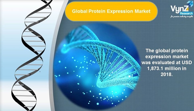 Protein Expression Market Highlights