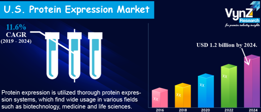 U.S. Protein Expression Market Highlight