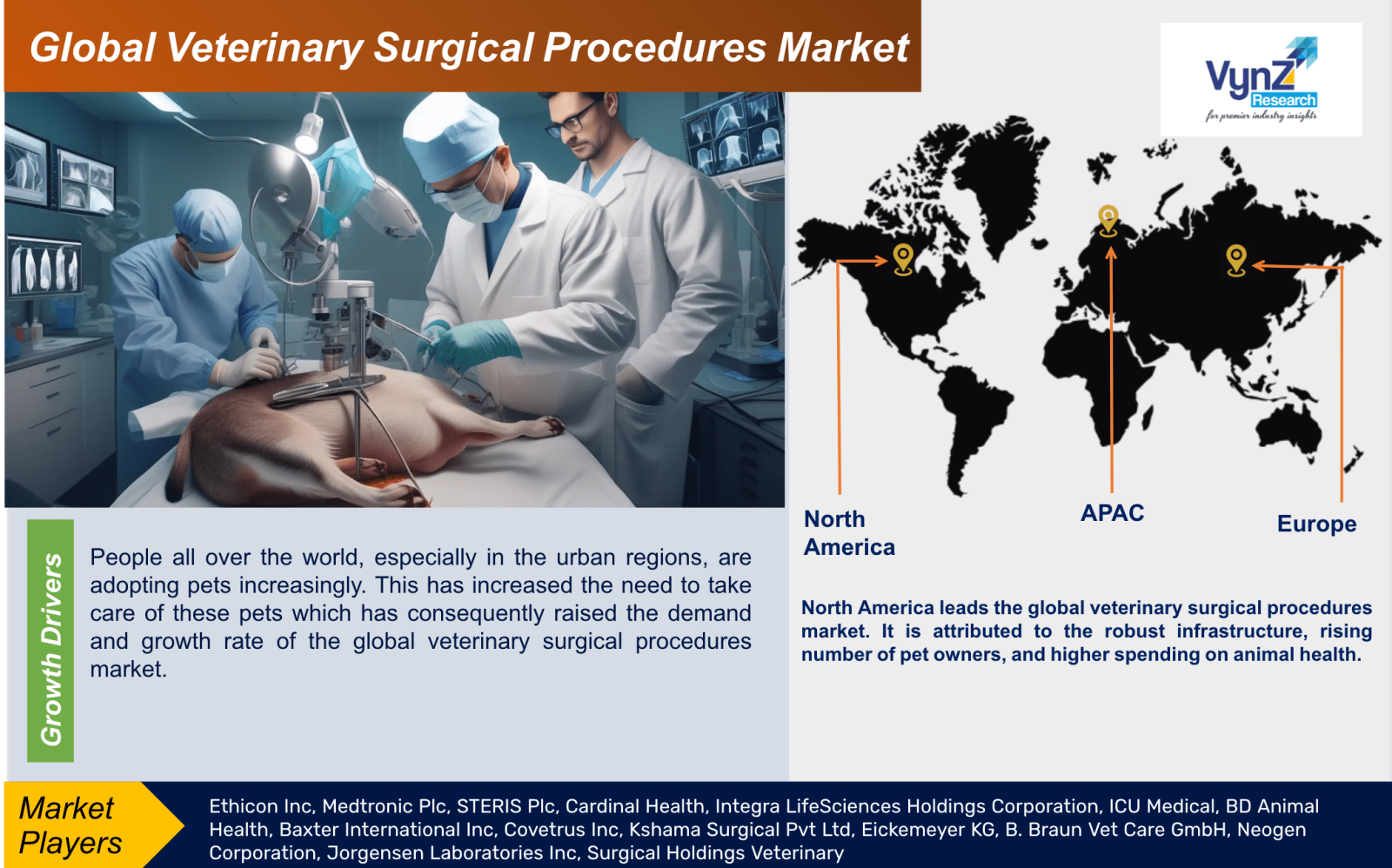 Veterinary Surgical Procedures Market